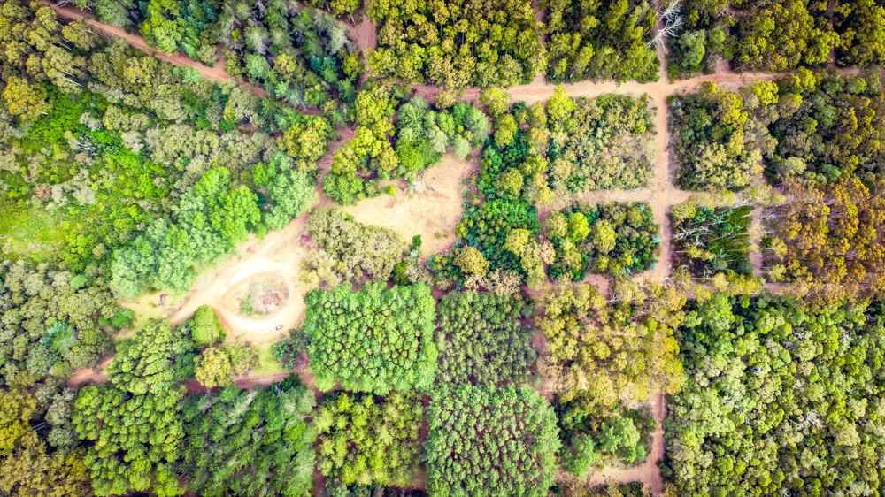 Aerial view of red dirt trails winding through forest near Pemberton