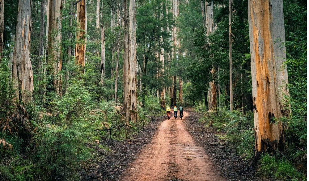 Gravel riding near Pemberton